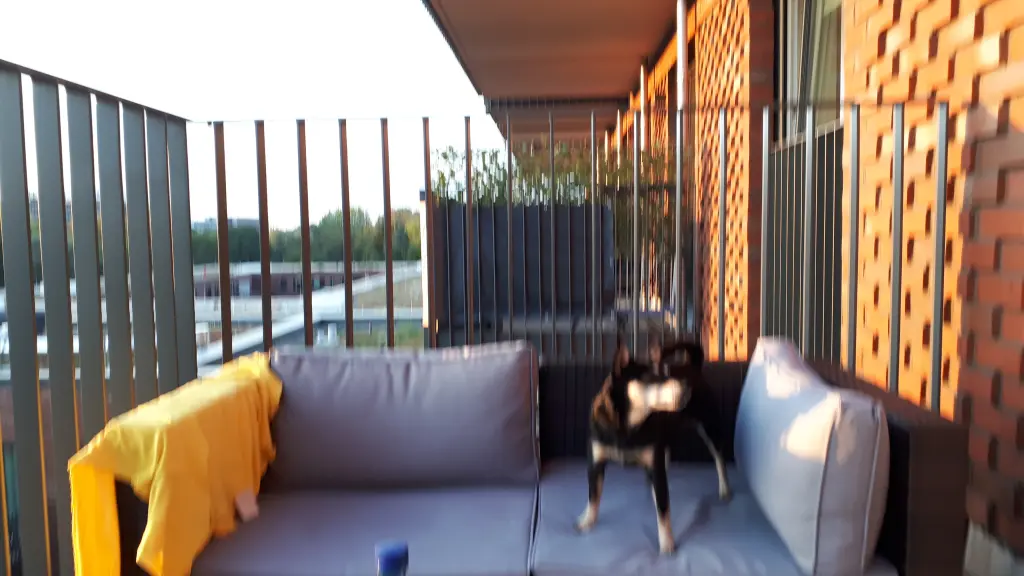 Andachtsbild von Vincent