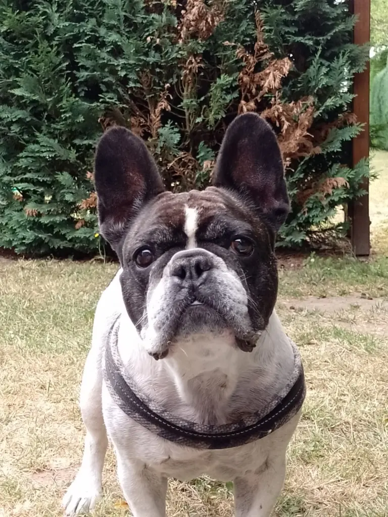 Andachtsbild von Elke