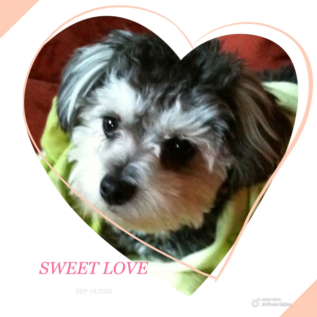 Andachtsbild von Lydia Henz