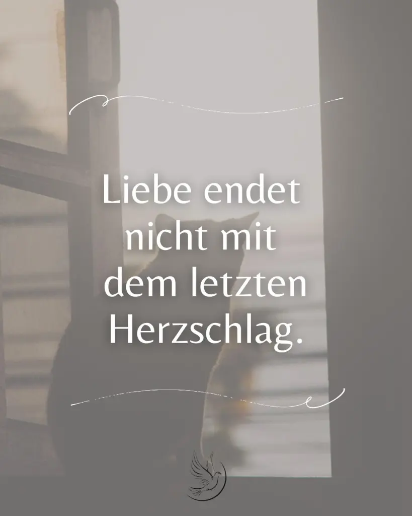 Andachtsbild von Jana mit George im 🧡🐈🌹