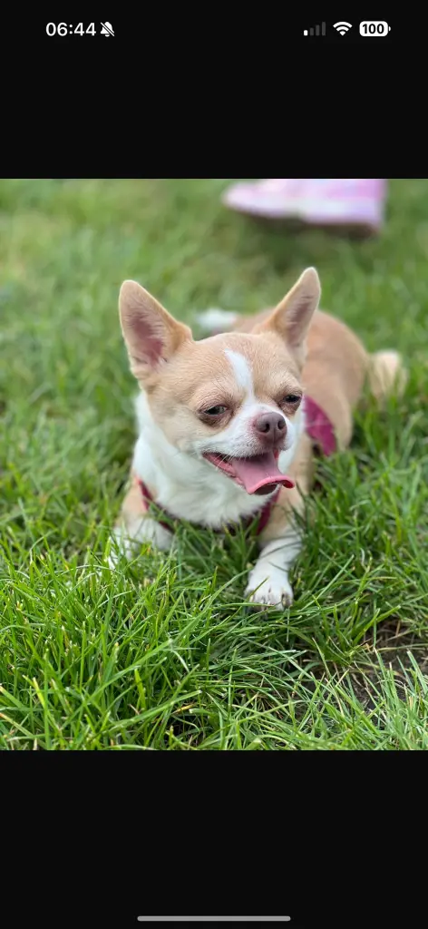 Andachtsbild von Jana