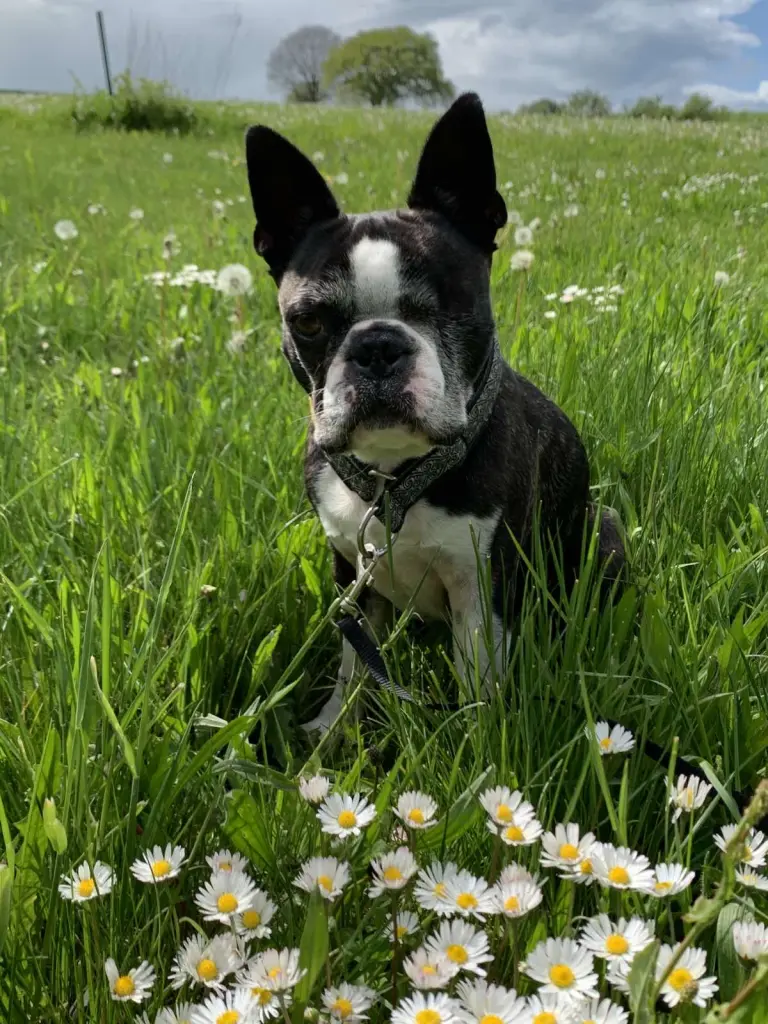 Fotopause beim Spaziergang