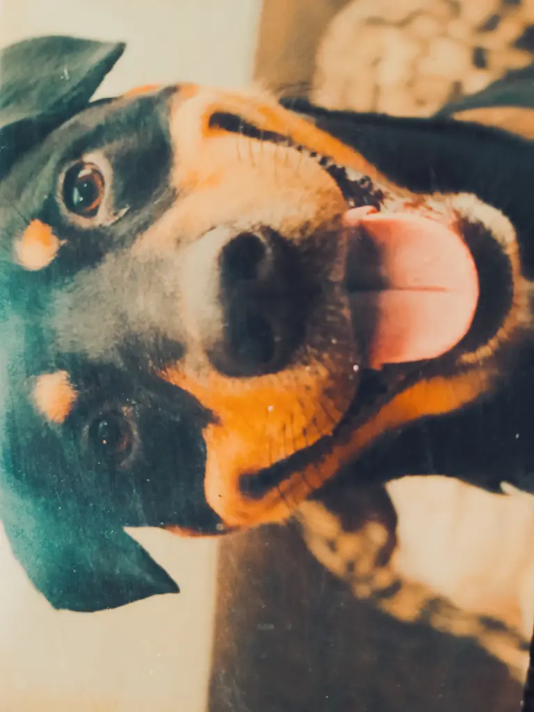 Andachtsbild von Dagmar Herrmüller