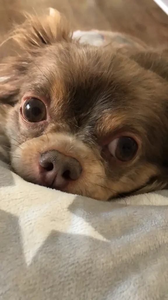 Andachtsbild von Jenni Ridders