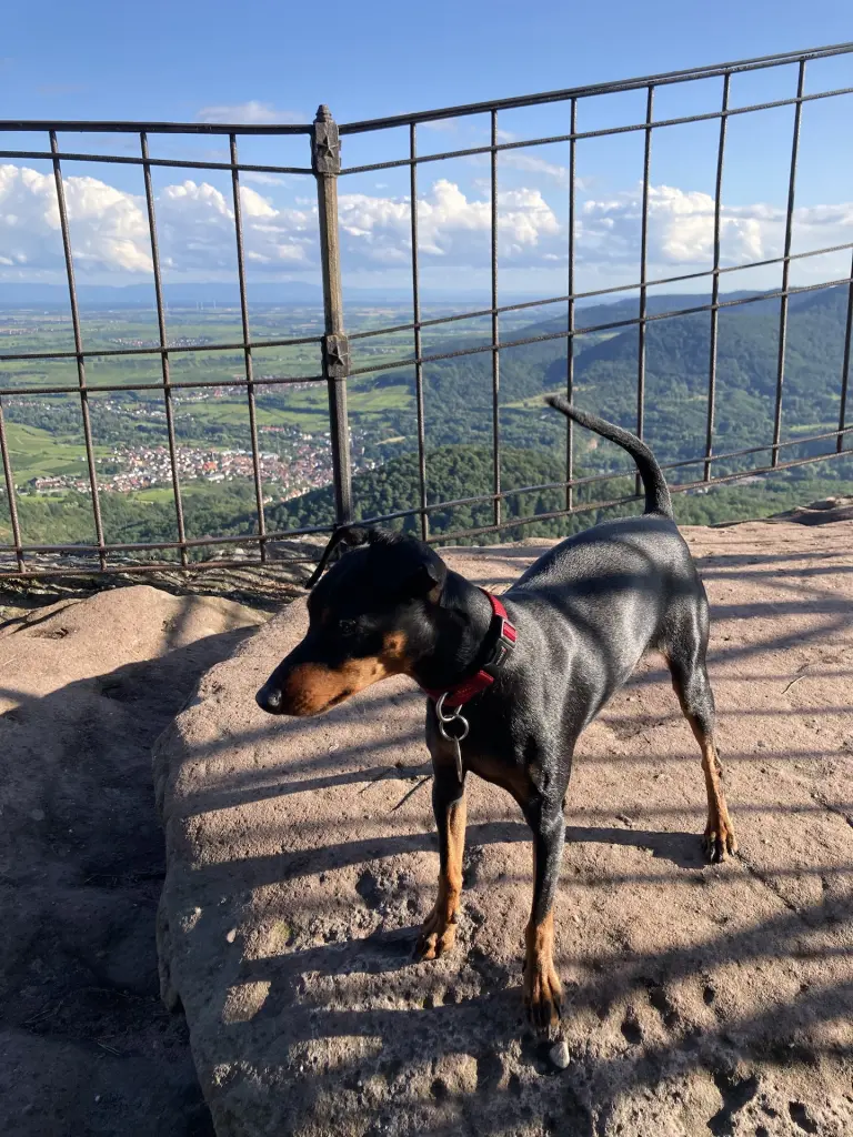 Cäsar liebte die Höhe