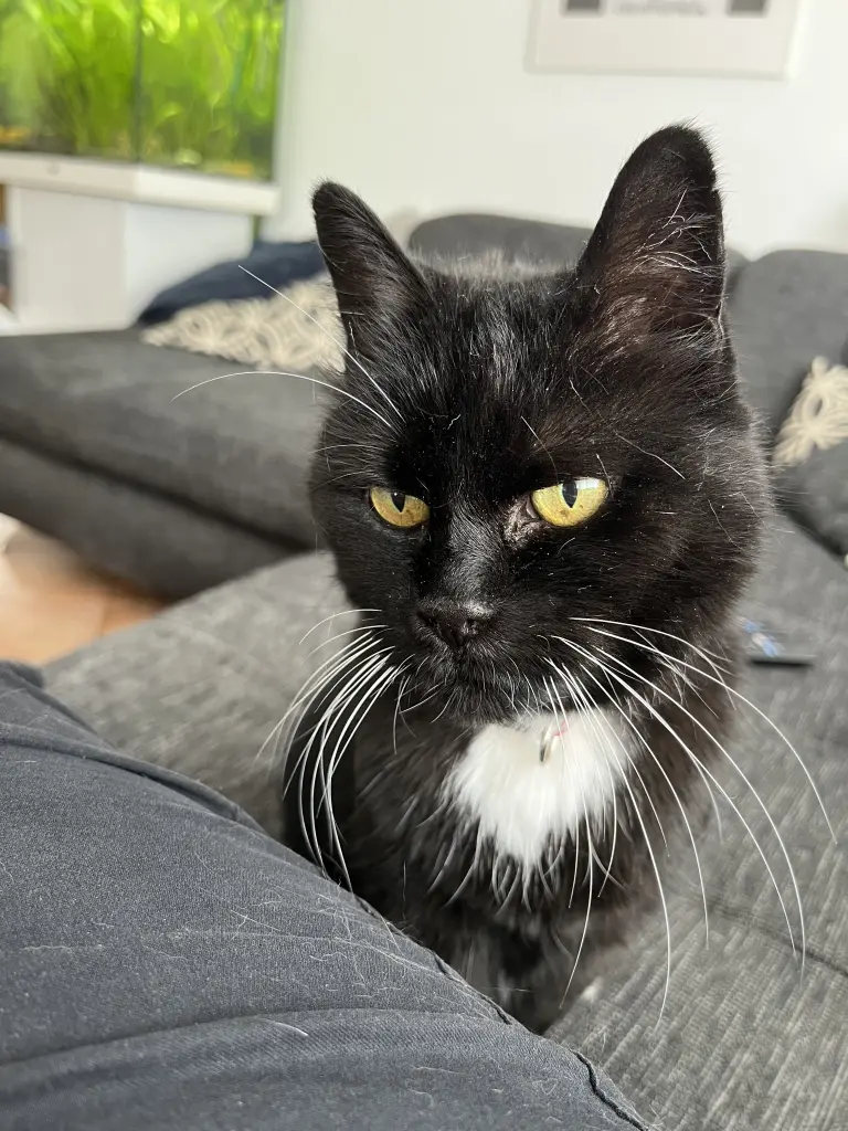 Andachtsbild von Heike Apel-Mumm