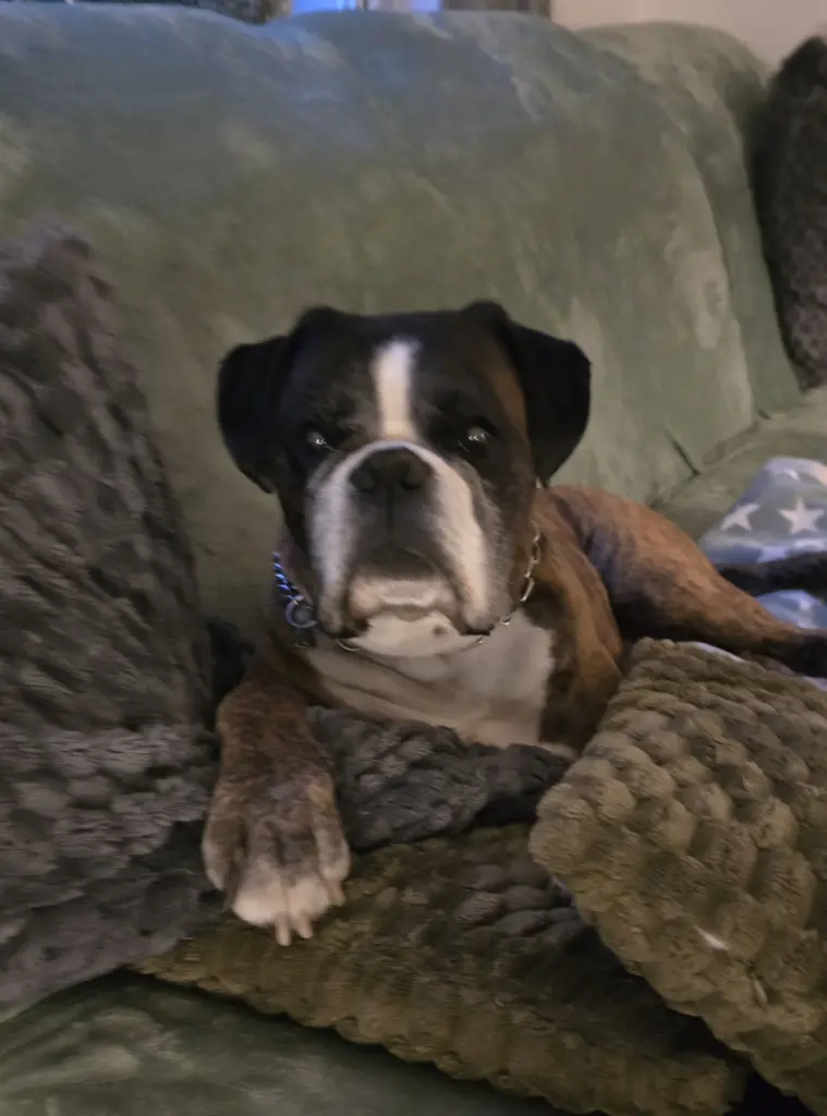 Bild von Buddy Spencer