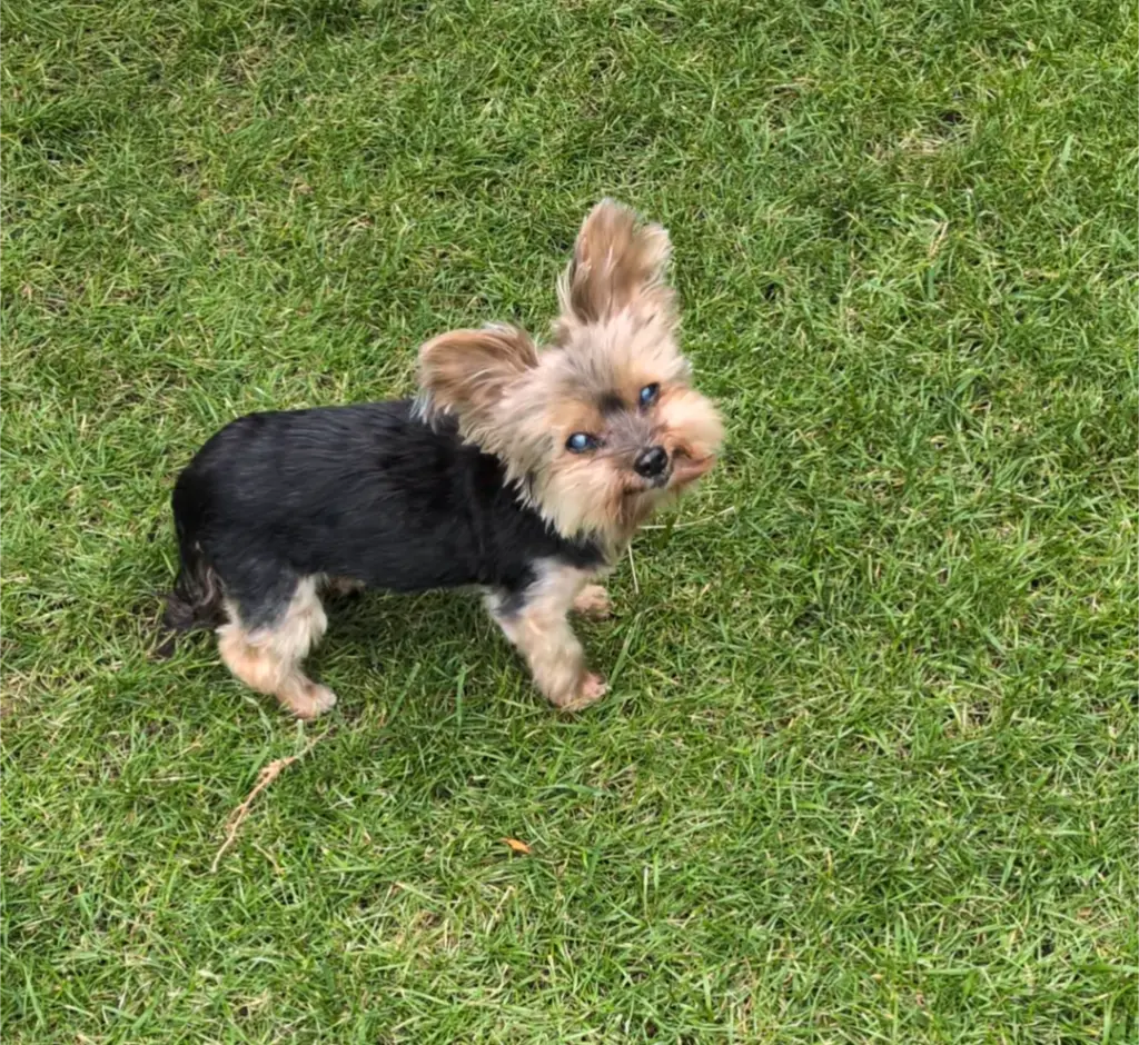 Andachtsbild von Gudrun Glombik