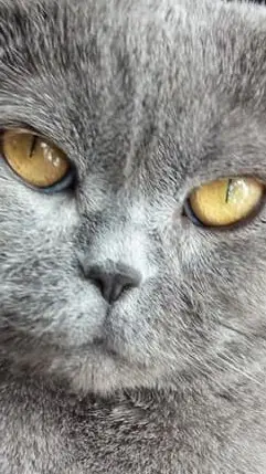 Condolence image of Roberto