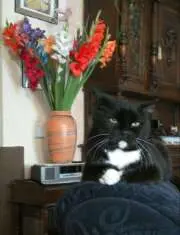 Condolence image of Roberto