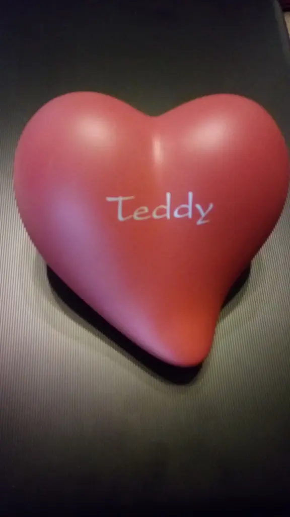 Image from Teddy (Bärchen)