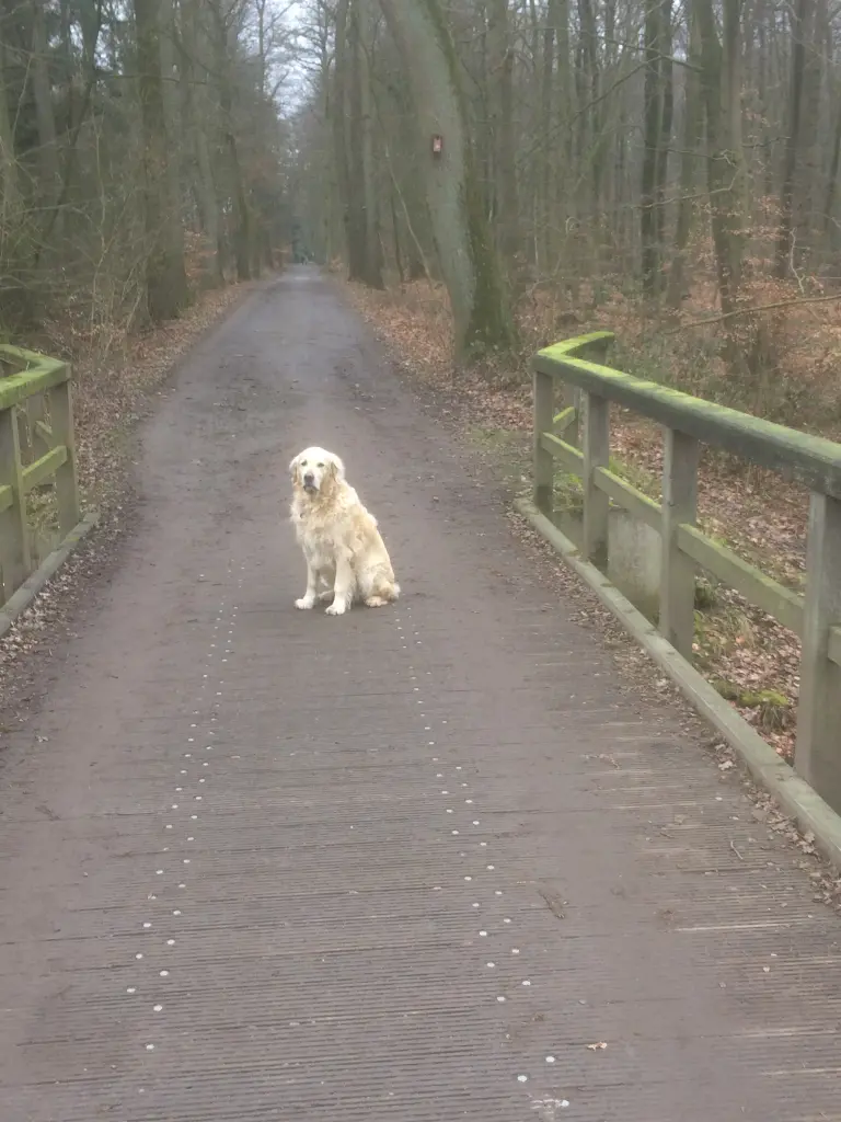 Andachtsbild von Andy ❤️ und Piet ❤️❤️