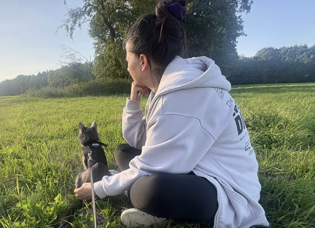 Bild von Blue Velvet