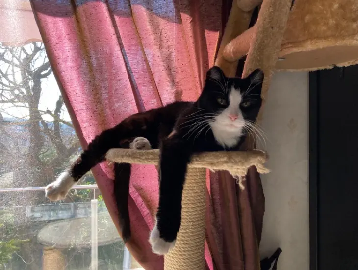 Image from Frau Meyer