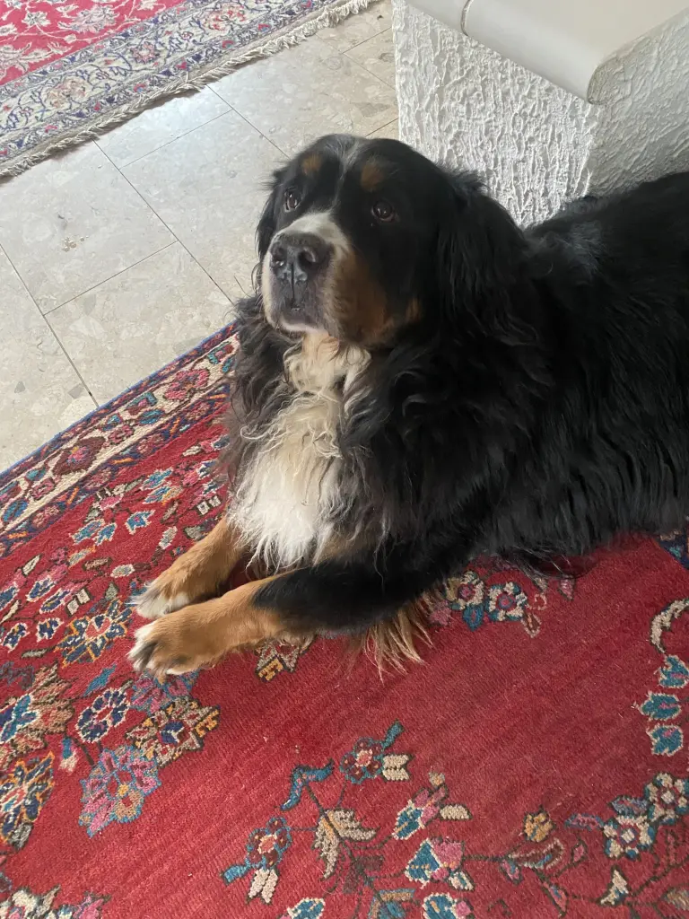 Andachtsbild von Brigitte Steffen