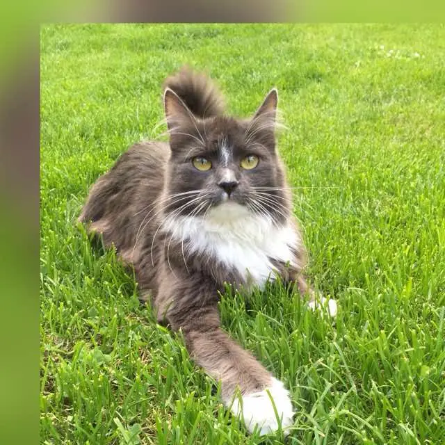 Andachtsbild von Peter Gotza