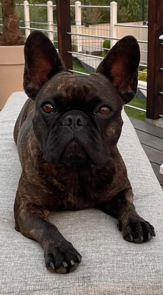 Bild von Betty