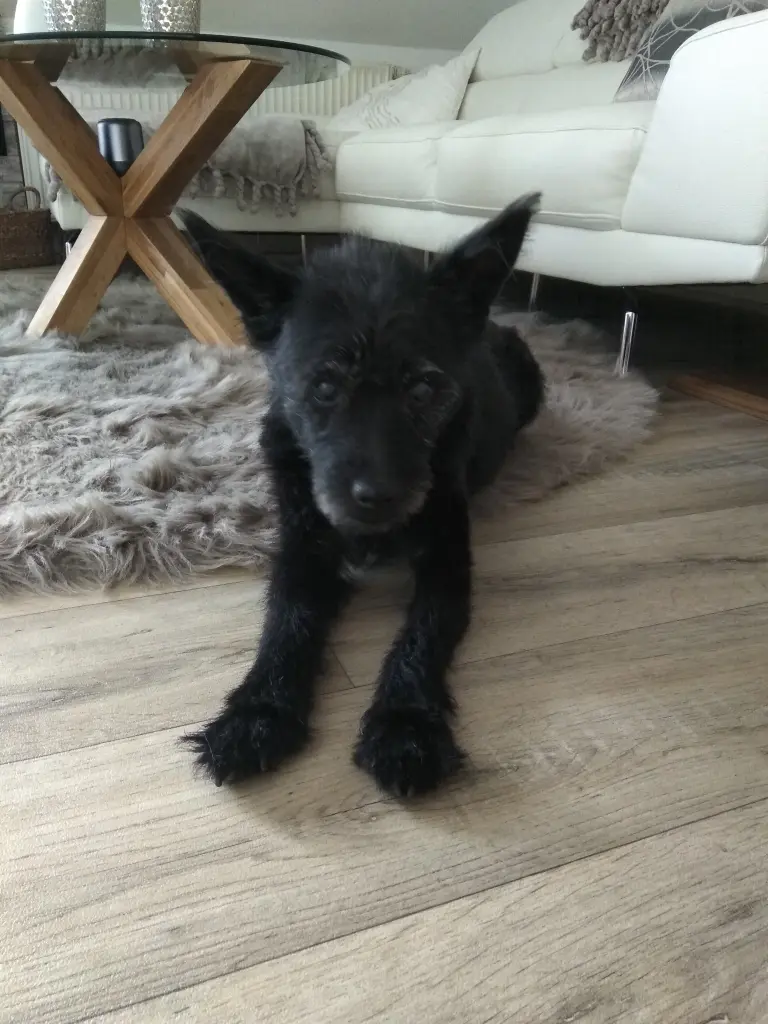 Andachtsbild von Jana Schmelzer