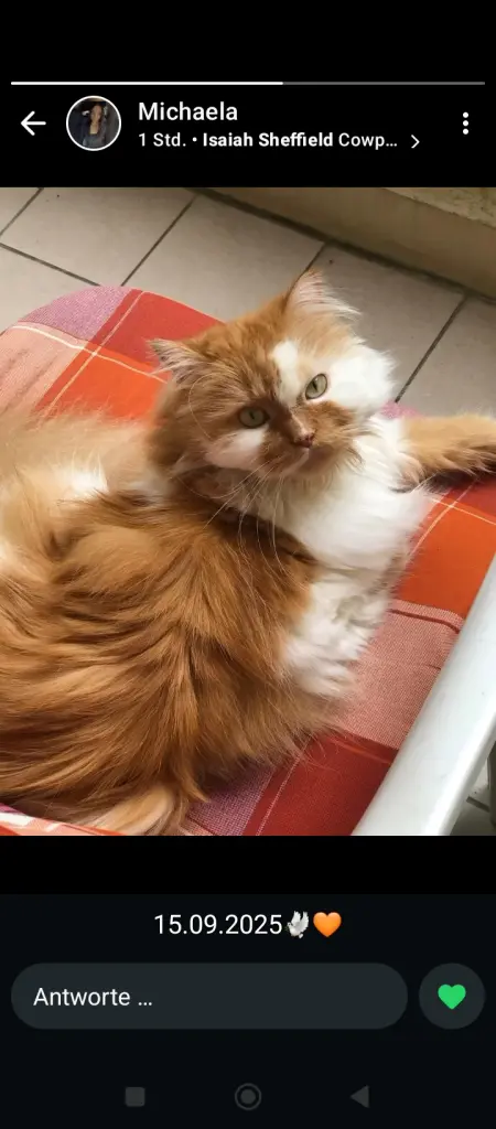 Andachtsbild von Manuela Steiner