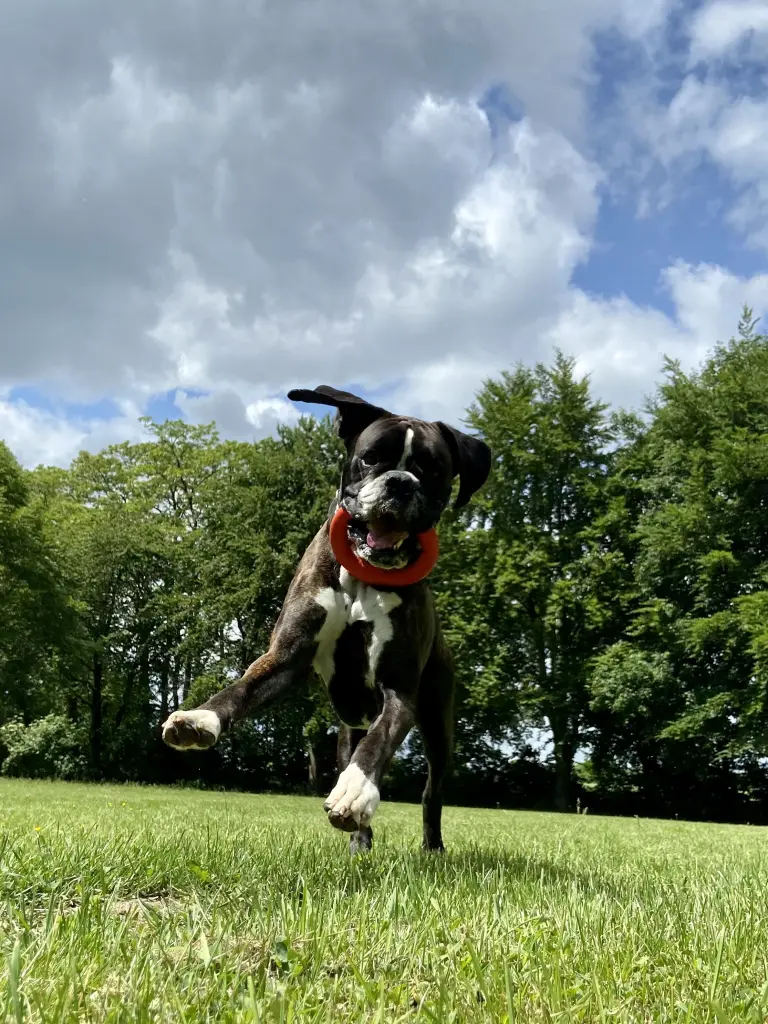 Bild von Zeus