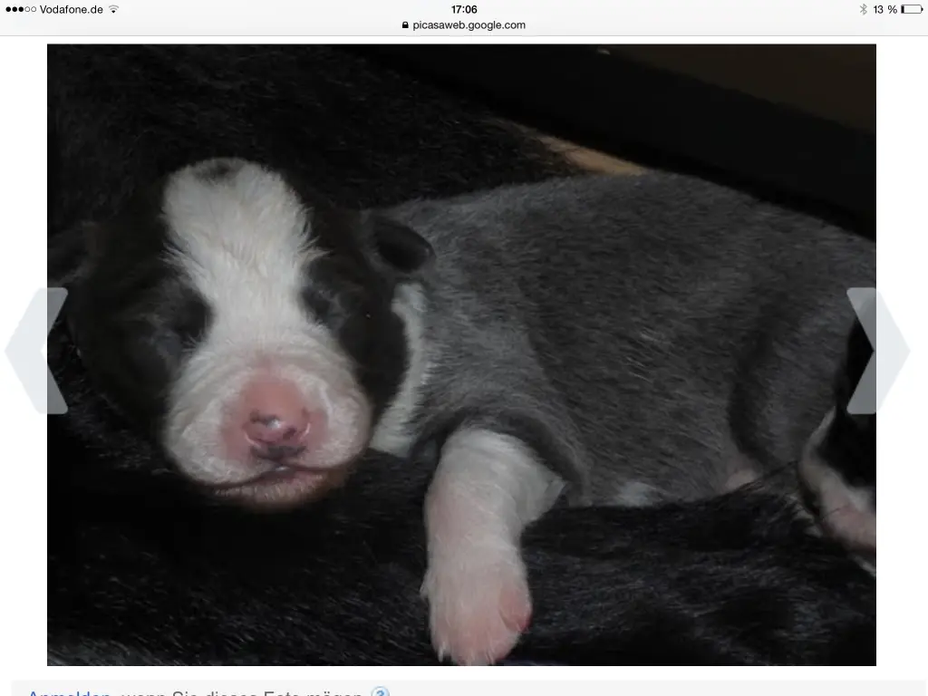 Bild von Cooper