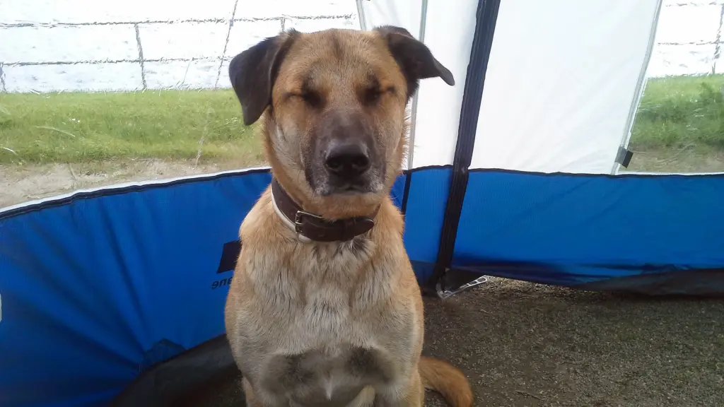 Andachtsbild von Margit Wandel