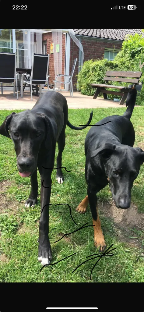 Andachtsbild von Regina Haasler