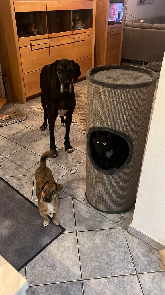 Andachtsbild von Nadine Haasler