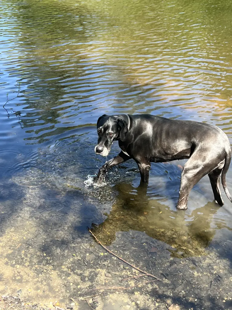 Unser Ausflug im Sommer 2024