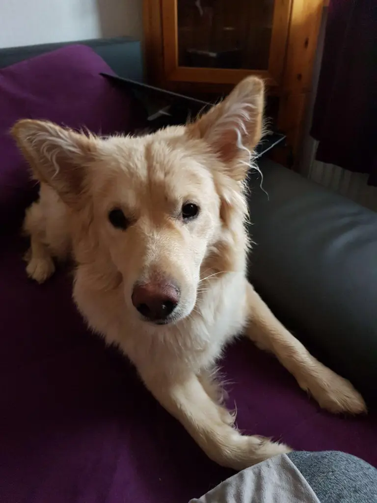 Bild von Max