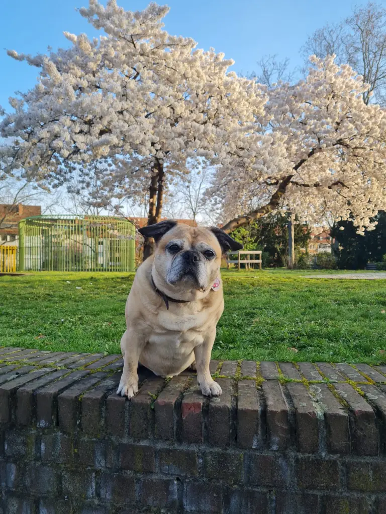Unser Model 2025