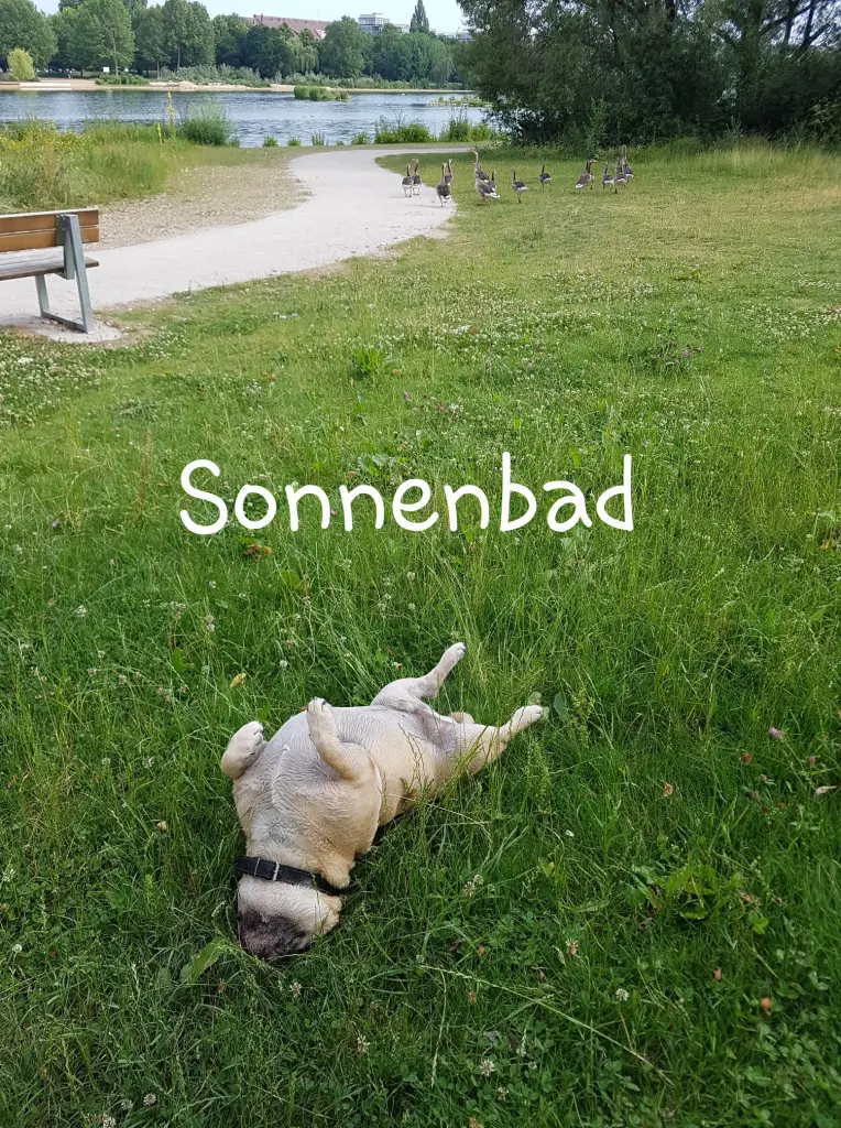2019