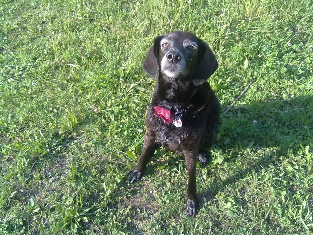 Andachtsbild von Erika Cremer