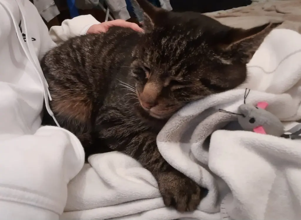 Andachtsbild von Kathrin Peter