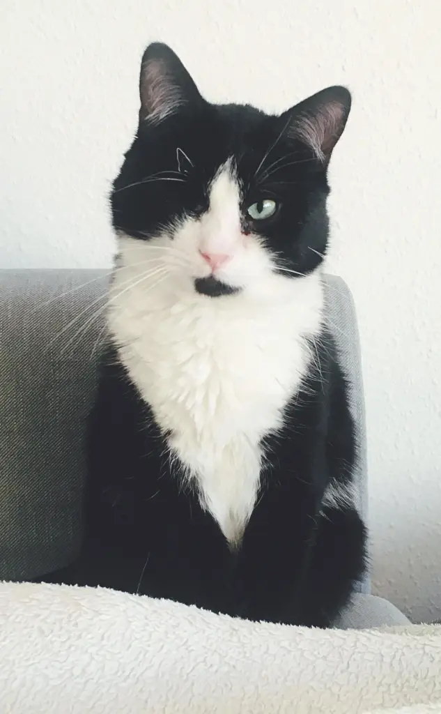 Bild von Edgar