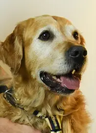 Andachtsbild von Micha mit Cäsar im Herzen