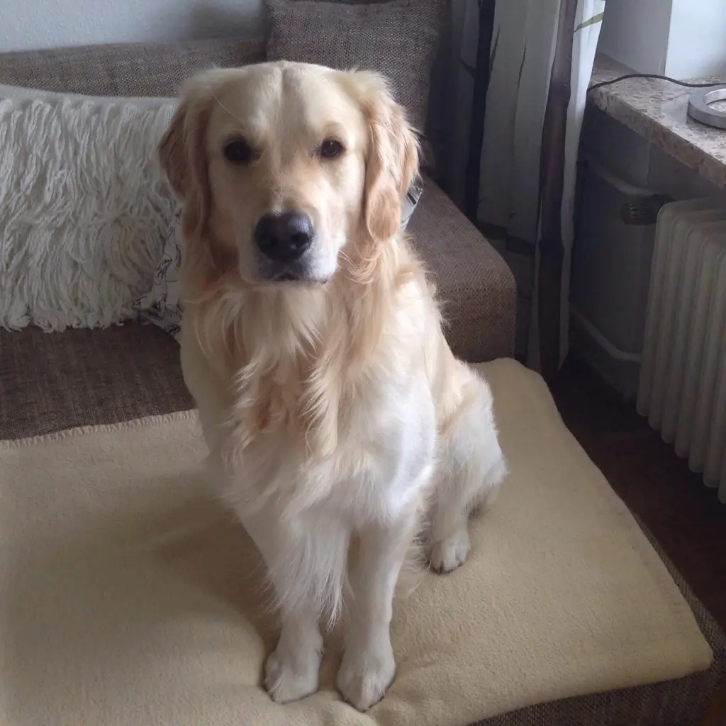 Bild von Miles