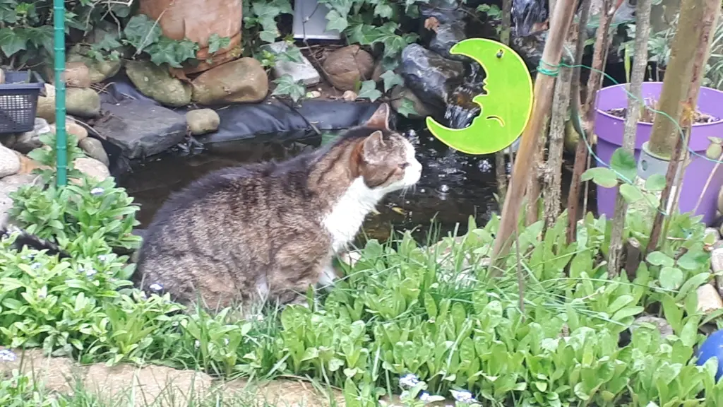 Bild von Casimir