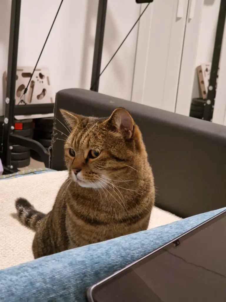 Andachtsbild von Manh Cuong Nguyen