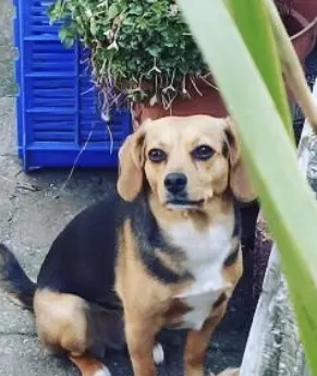 Bild von Nelly