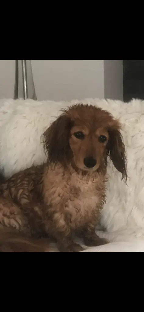 Andachtsbild von Petra Heling