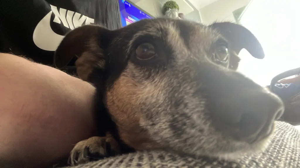 Andachtsbild von René