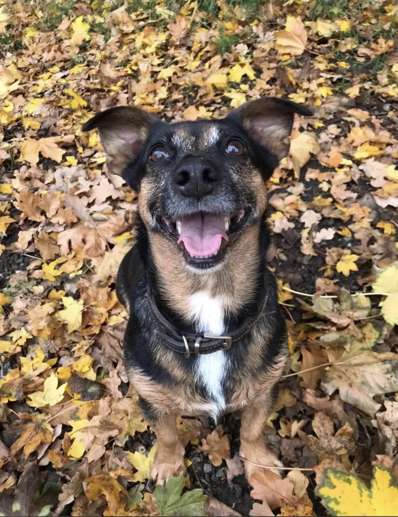 Andachtsbild von Britta Bettels