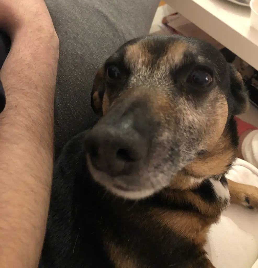 Andachtsbild von Annika & Nangi