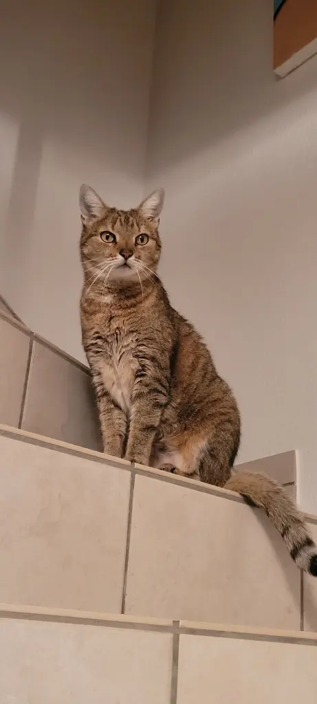 Andachtsbild von Deine Oma Merli