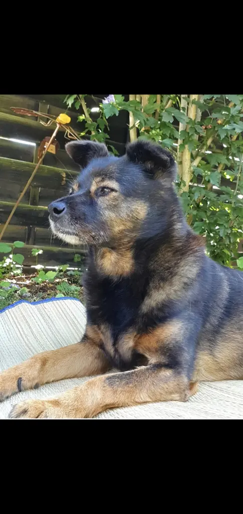 Frei von Ängsten das Leben genießen