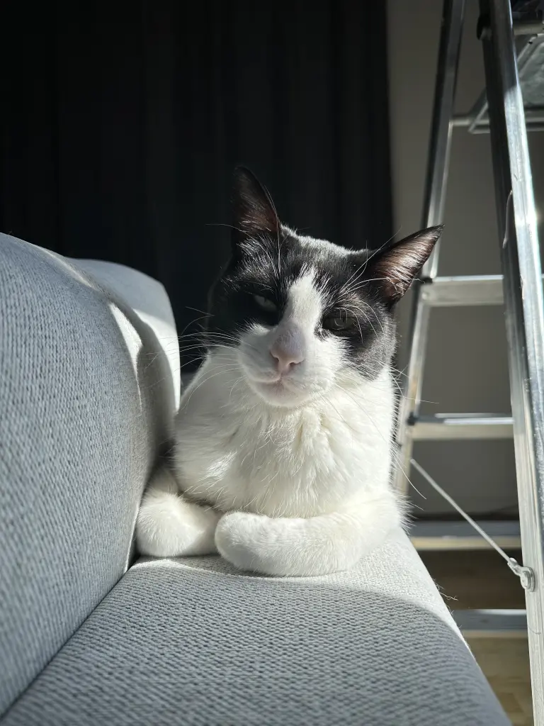 Bild von Hermi
