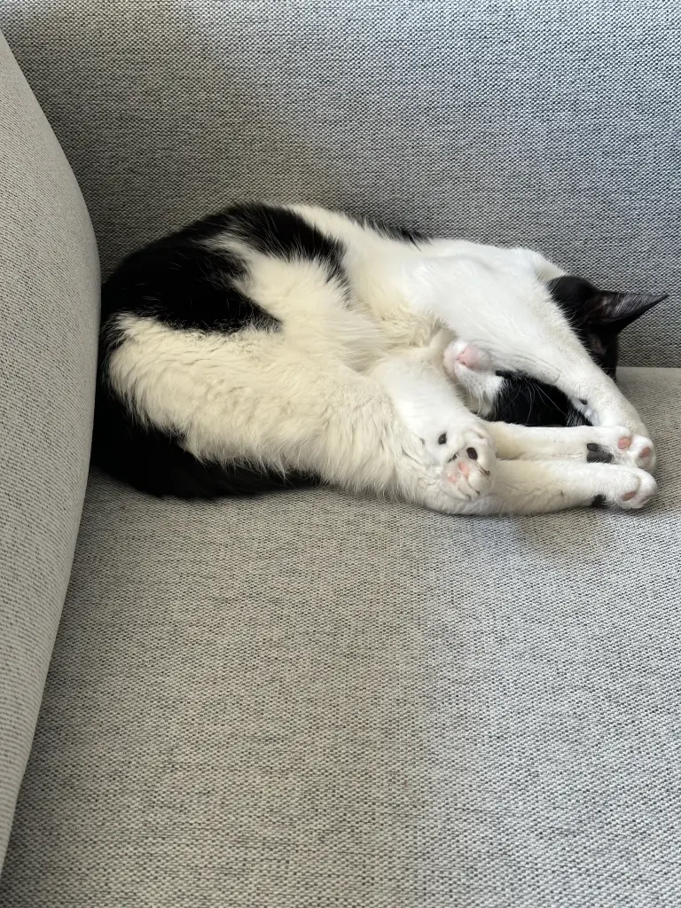 Bild von Hermi
