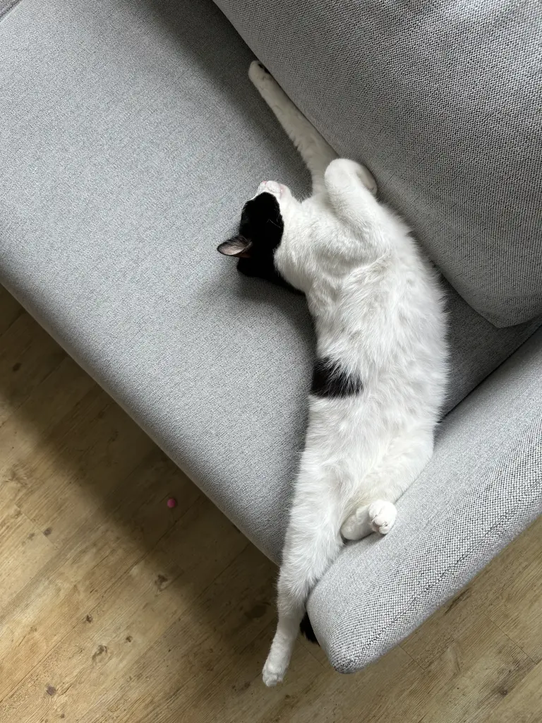 Bild von Hermi
