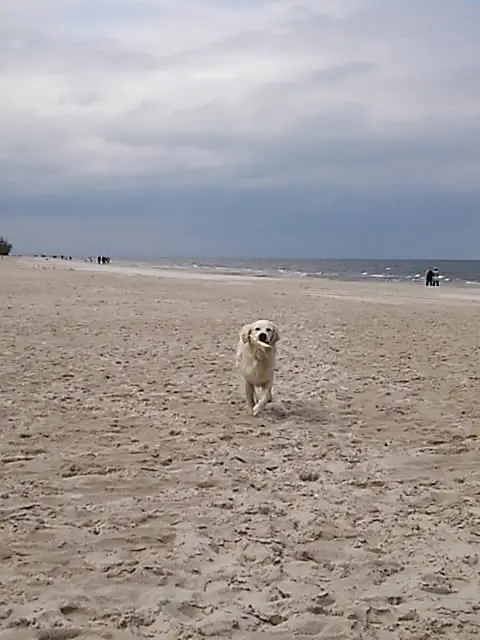 Andachtsbild von Andy ❤️ und Piet ❤️❤️